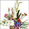 Hidden Beauty - Click here to View more details about this Product